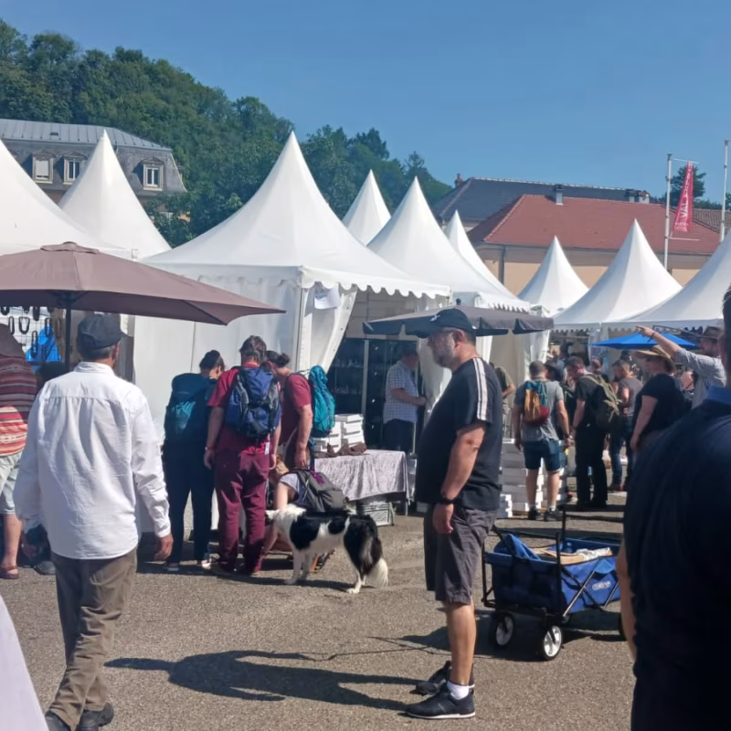 Mineral & Gem 2025: a major international mineralogical exhibition allee smam 2025