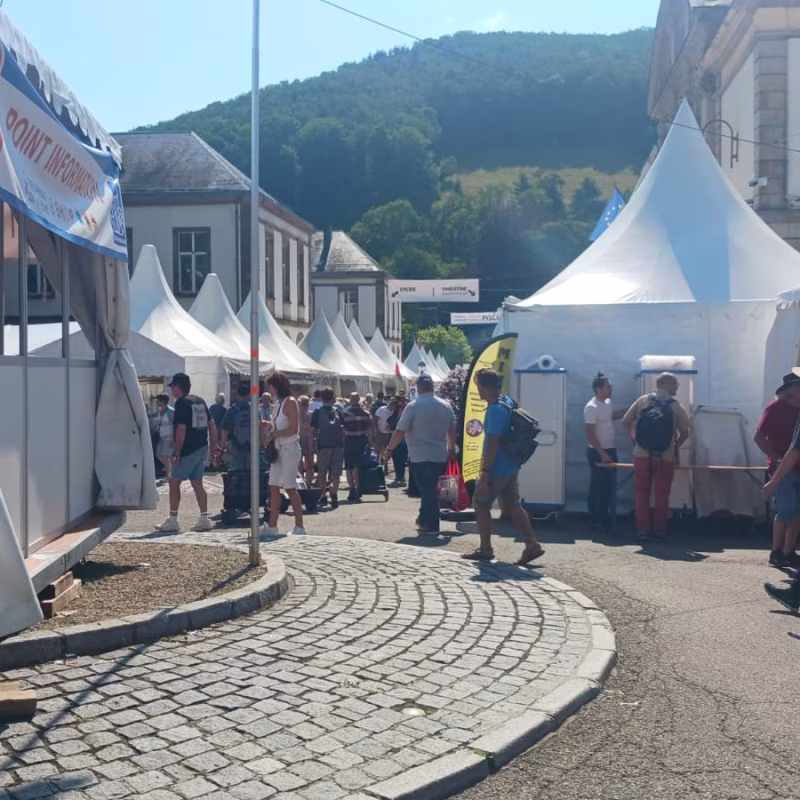 Mineral & Gem 2025: a major international mineralogical exhibition allee smam 20254
