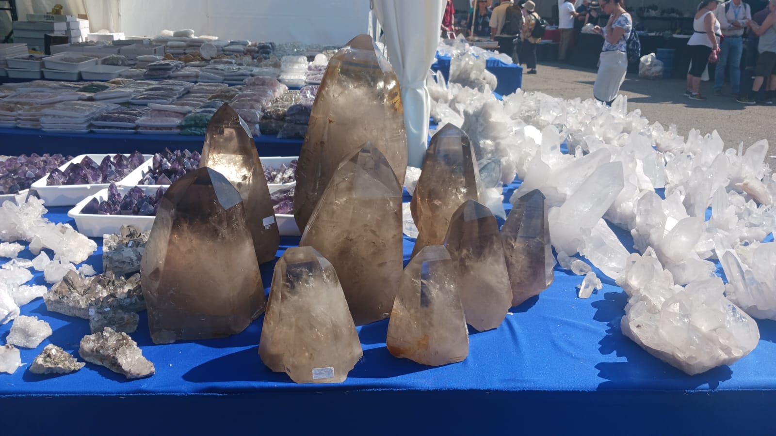 Mineral & Gem 2025: a major international mineralogical exhibition