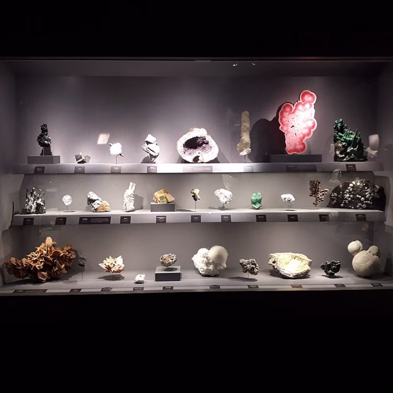 Geology and Mineralogy Gallery of the Jardin des Plantes in Paris Museum national histoire naturelle