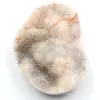 Quartz crystals on polished agate - 0