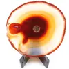 Polished and pierced agate from Brazil - 0