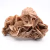 Desert Rose - 0