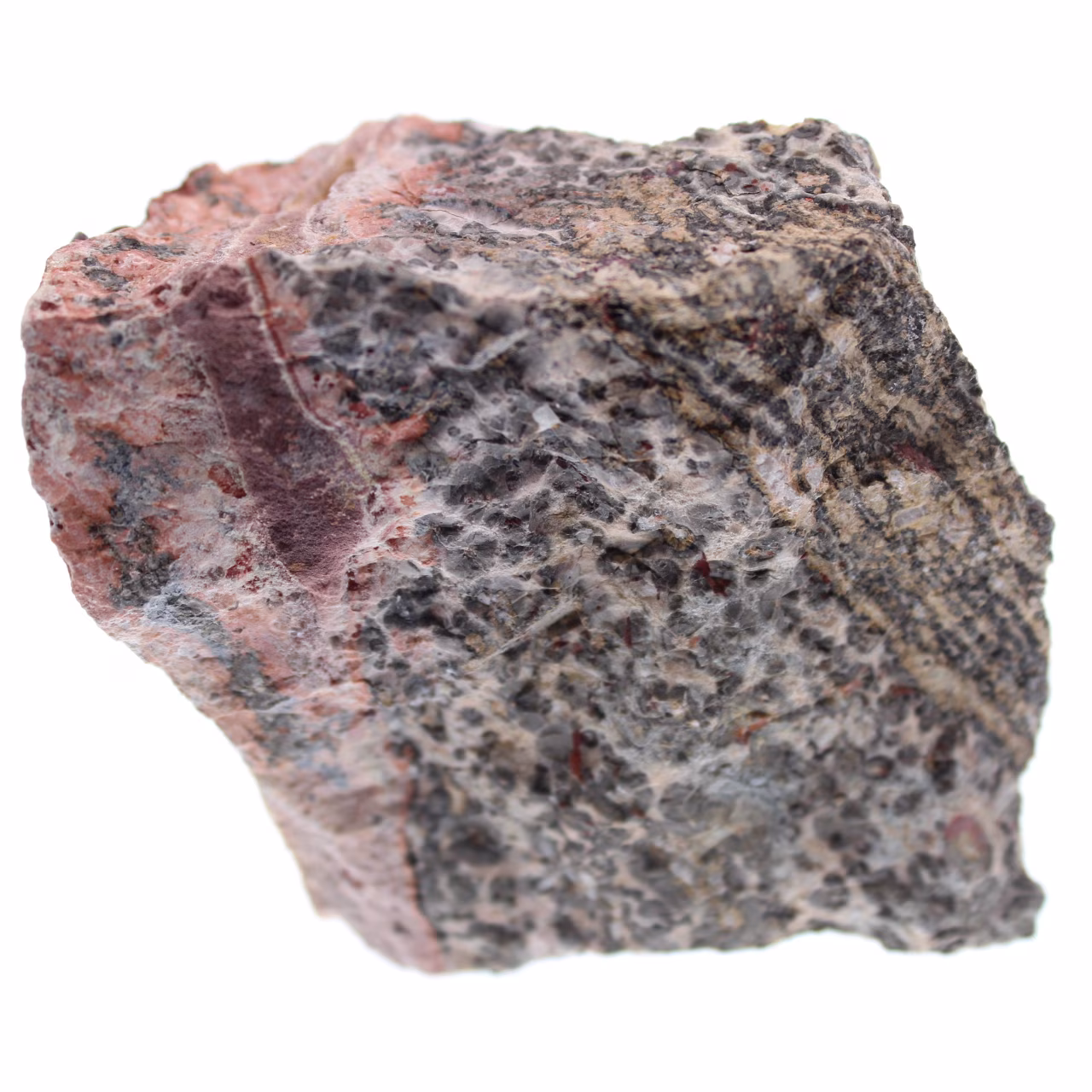 Leopard jasper