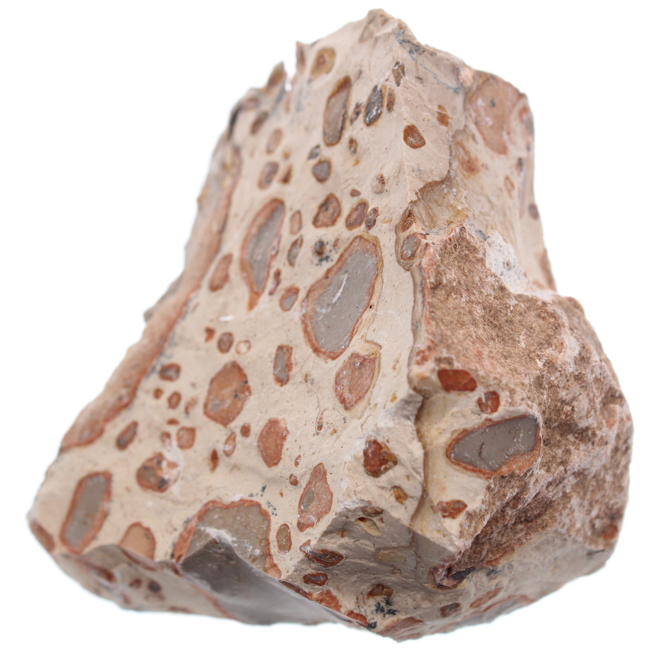 Leopardite