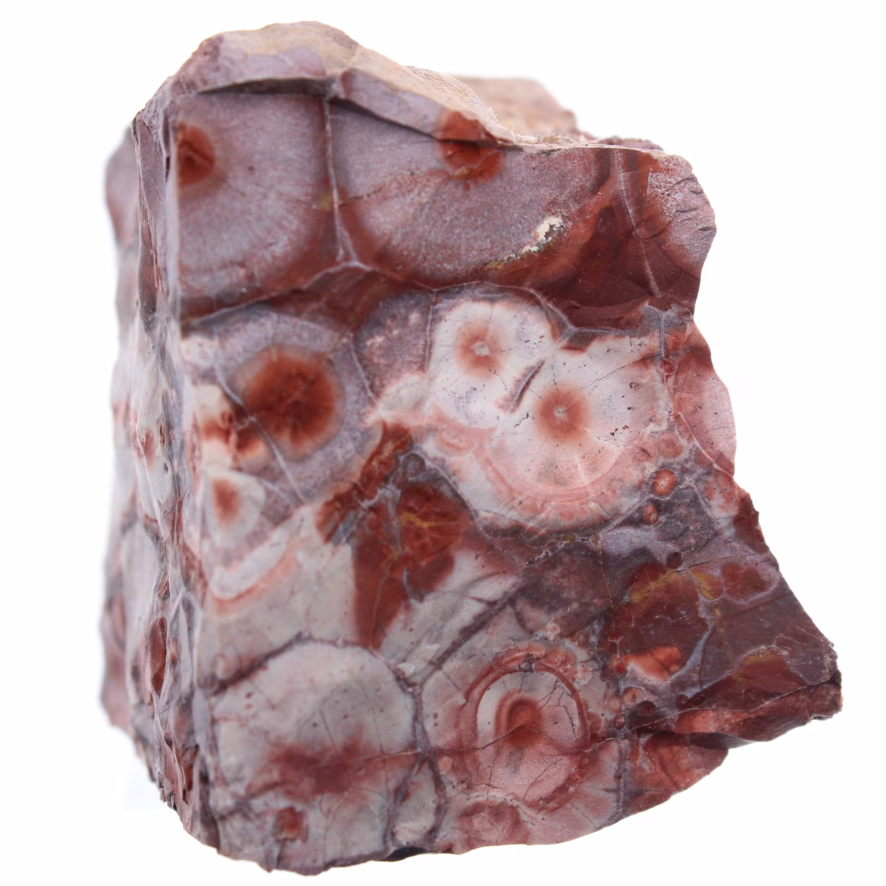 Eyespot jasper