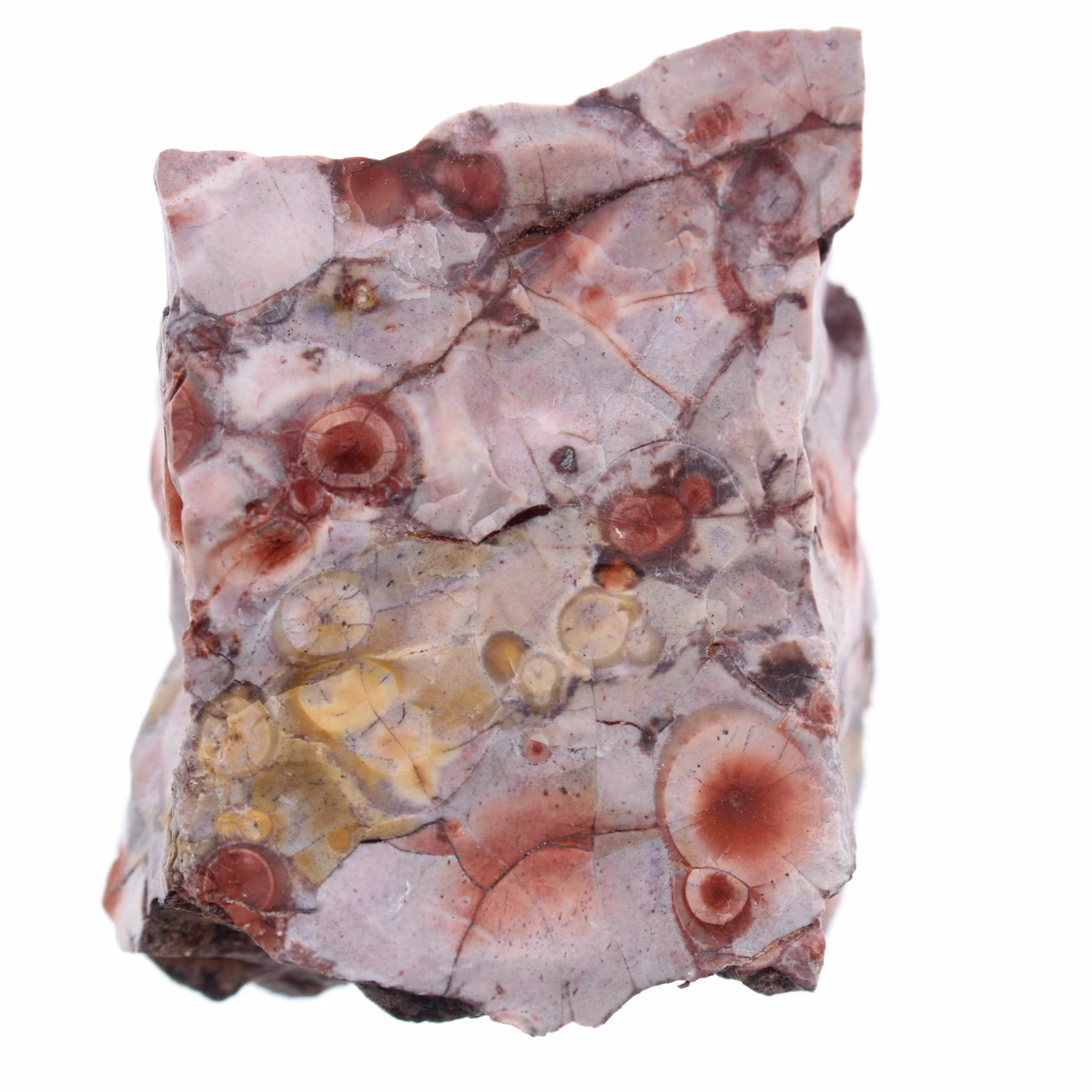 Eyespot jasper