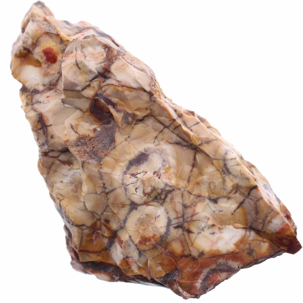 Eyespot jasper