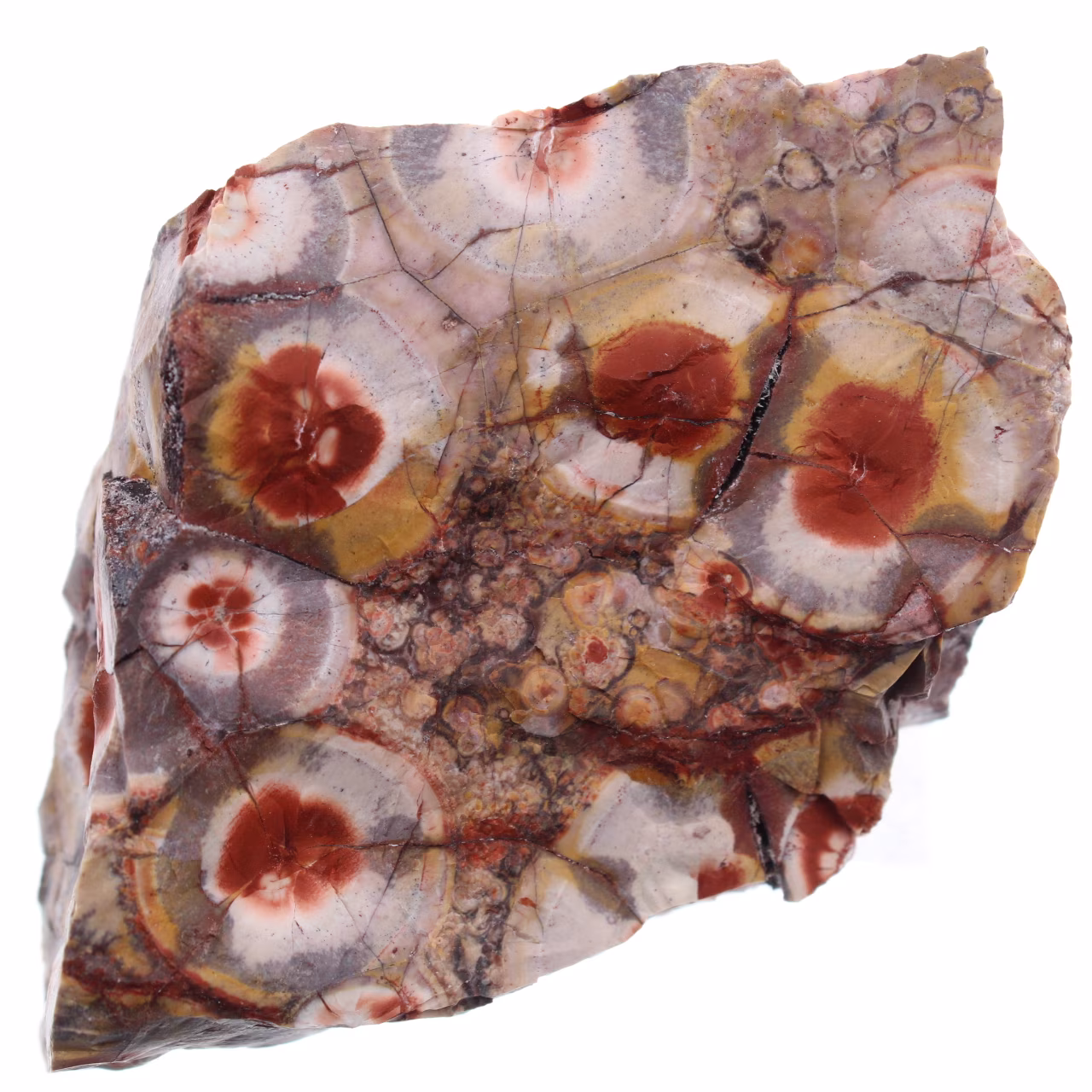Eyespot jasper