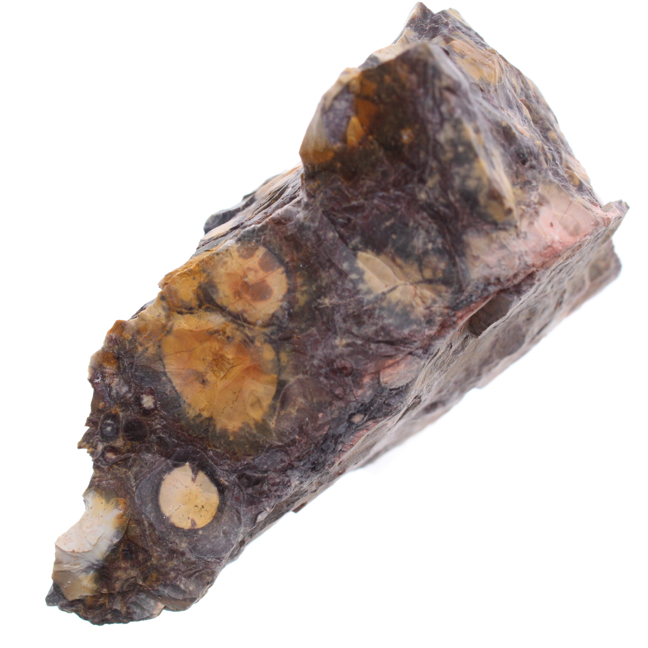 Eyespot jasper