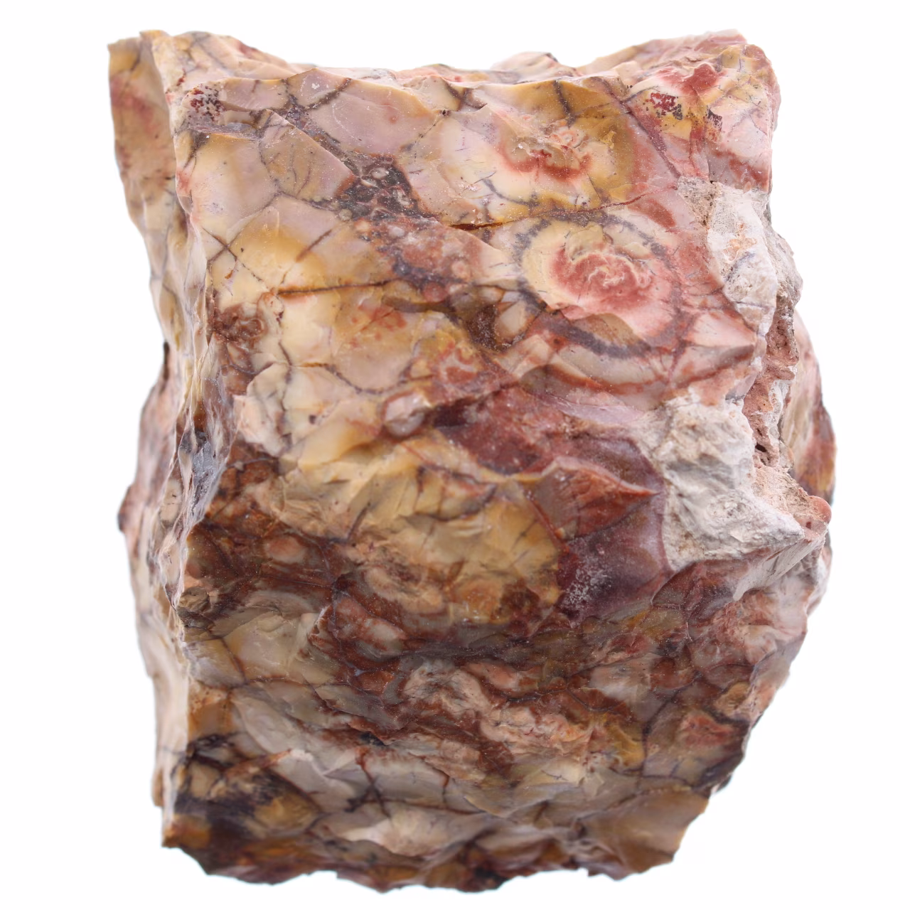 Eyespot jasper