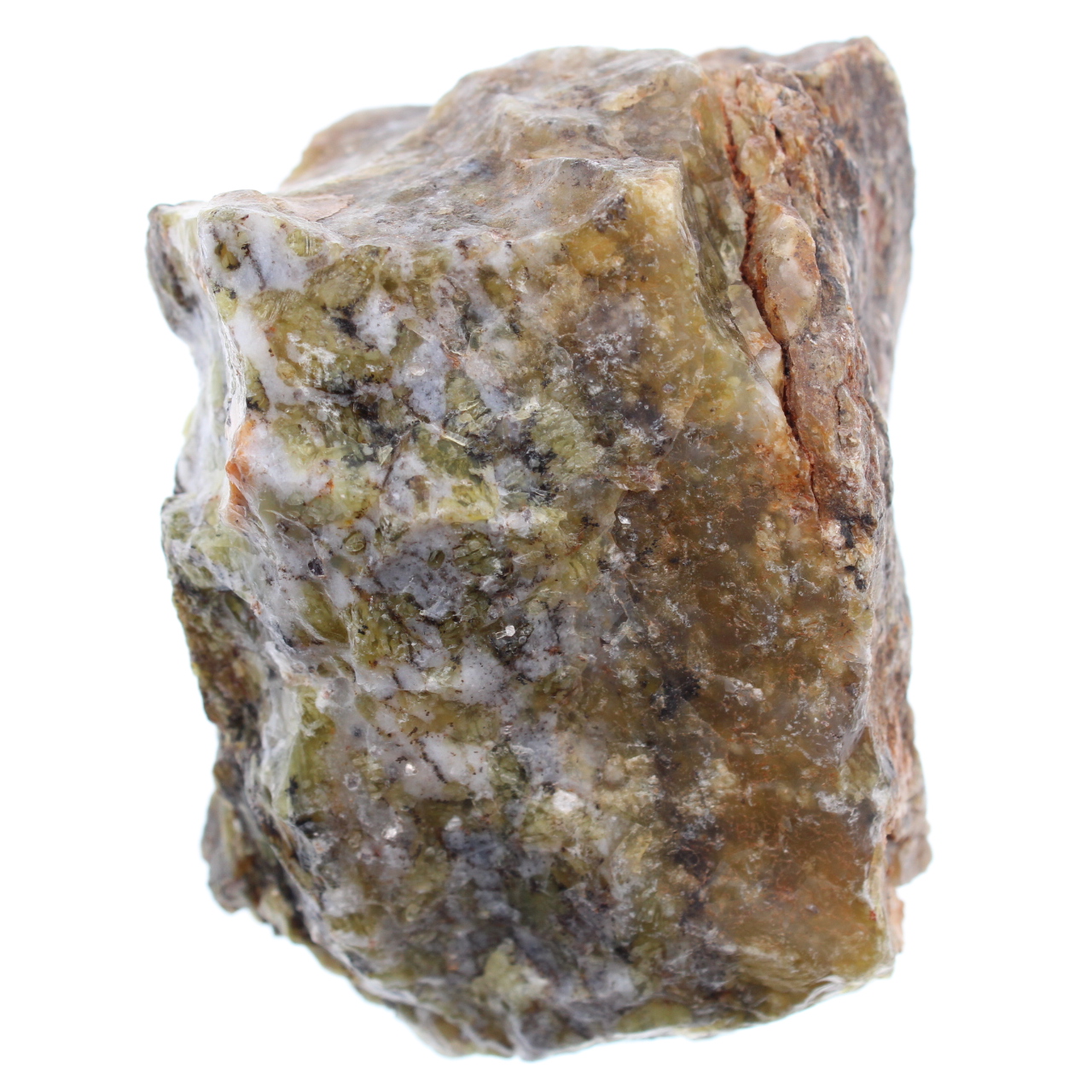 Dendrite opal