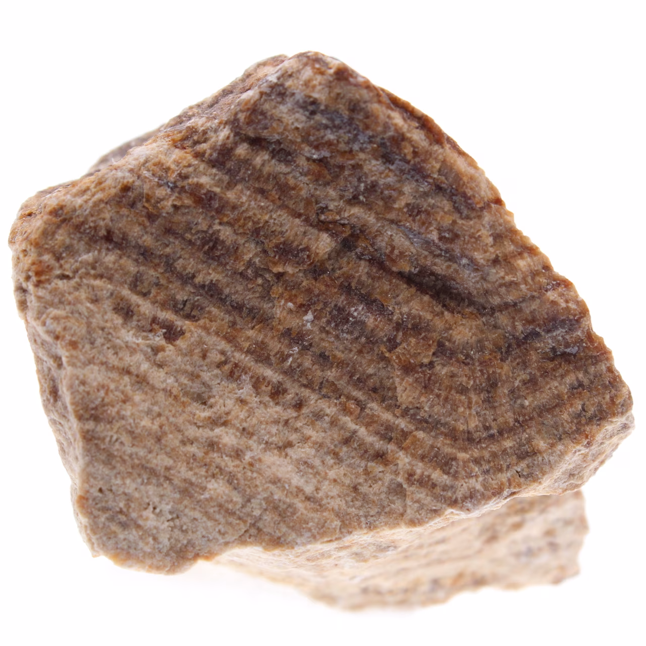 Brown aragonite
