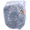 Blue angelite - 0