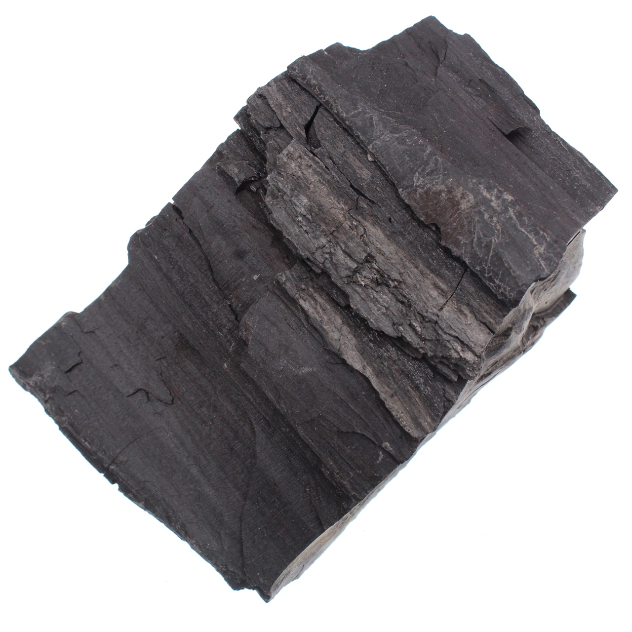 Jet of Mongolia