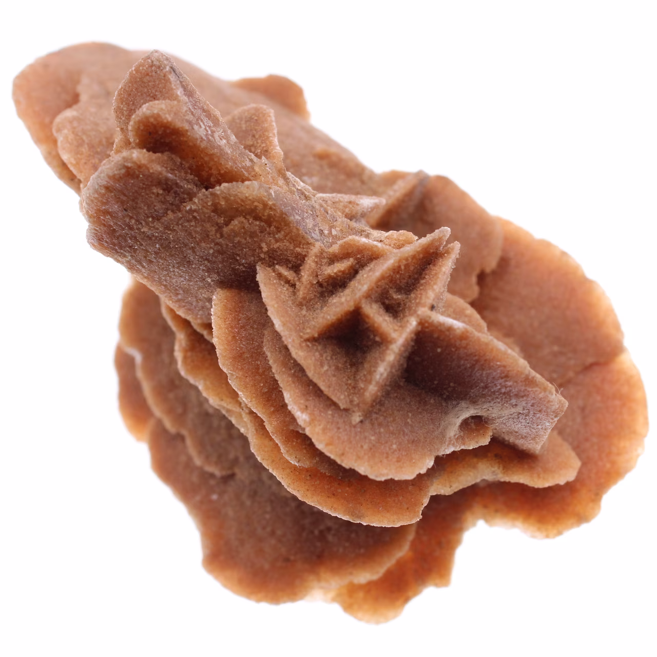 Desert Rose