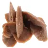 Desert Rose - 0