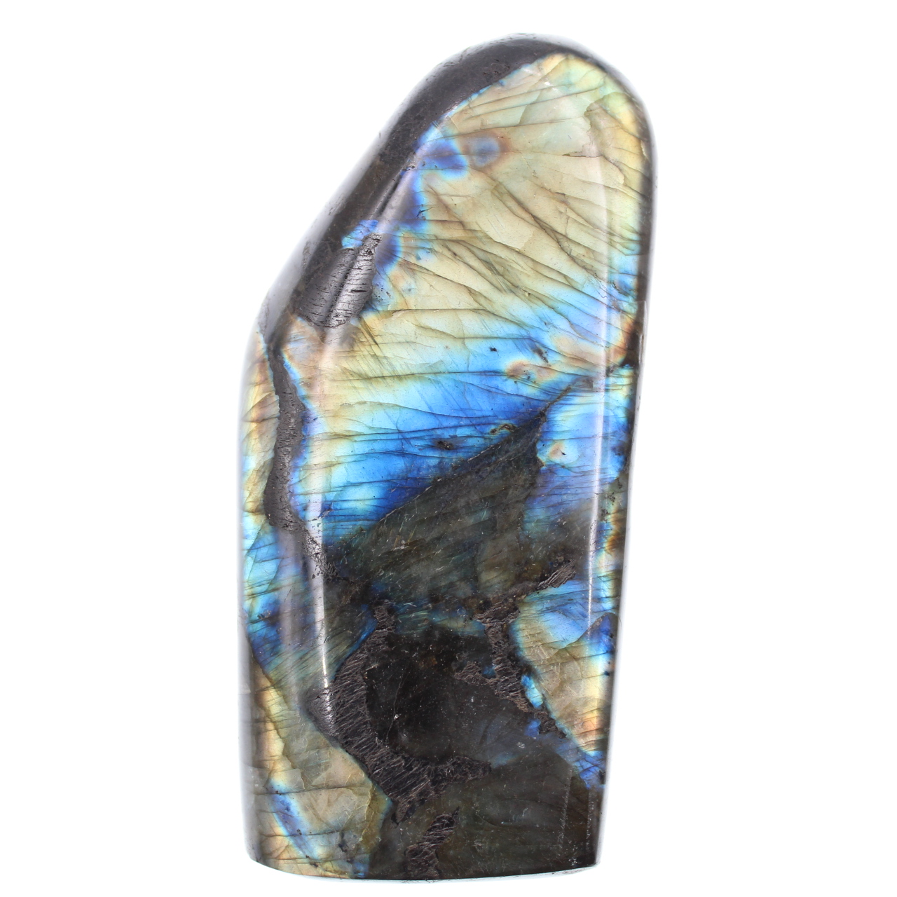 Blue and yellow labradorite, polished block