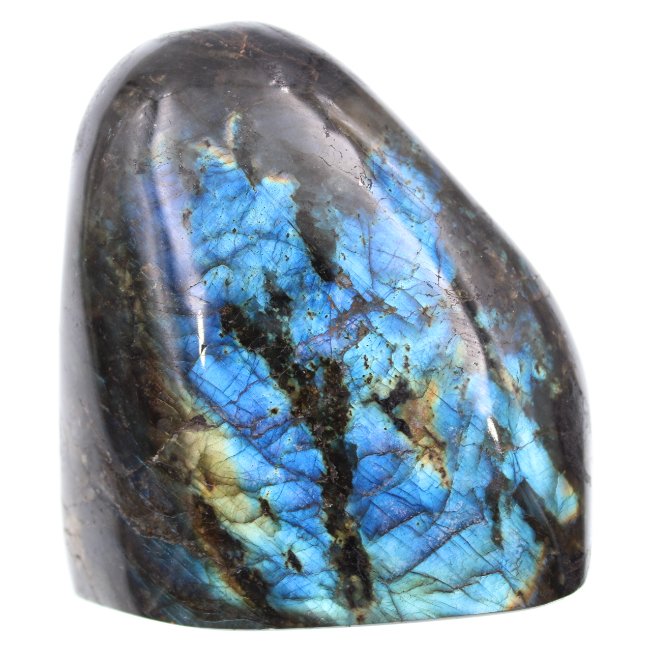 Polished shape blue labradorite stone