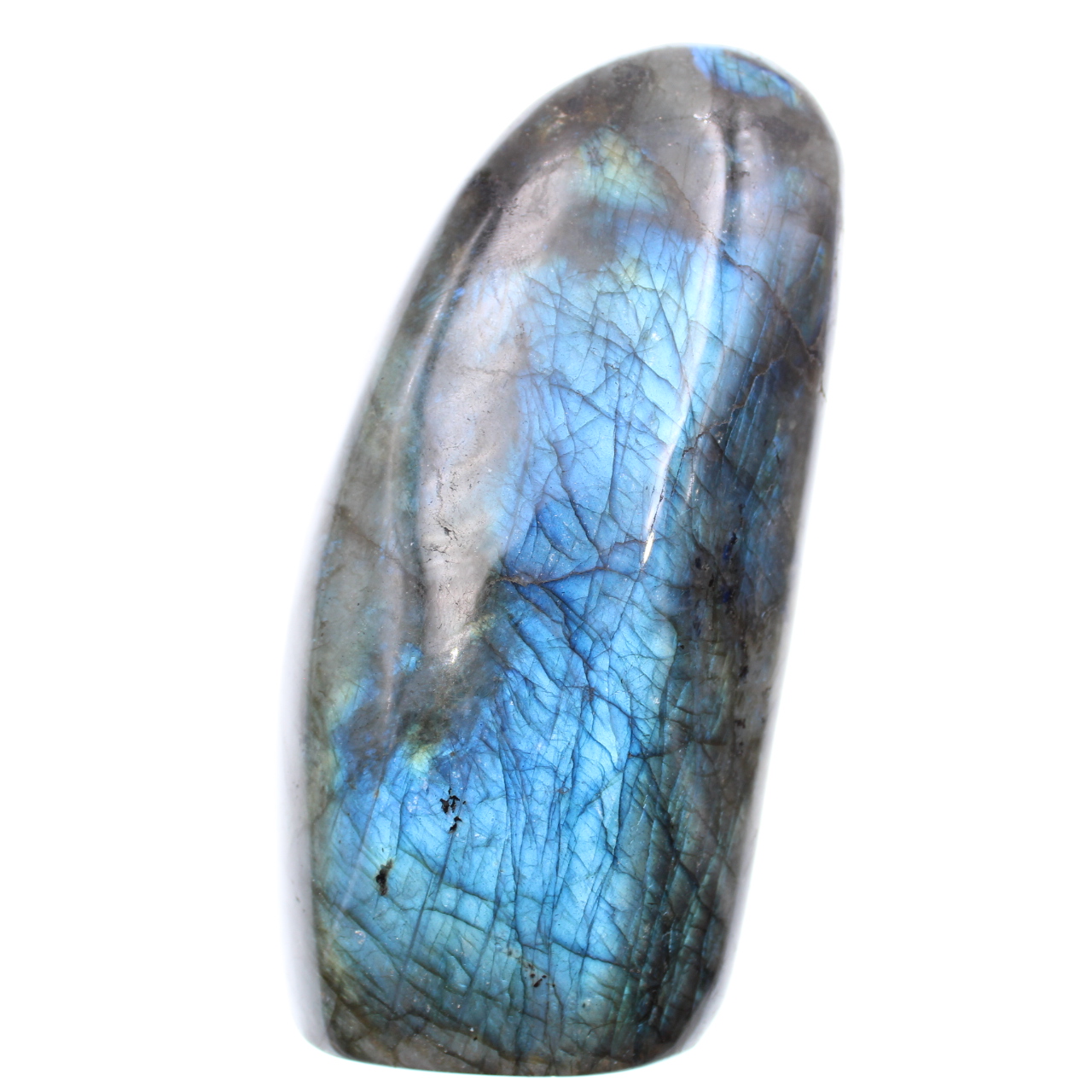 Labradorite ornamental stone with blue reflections