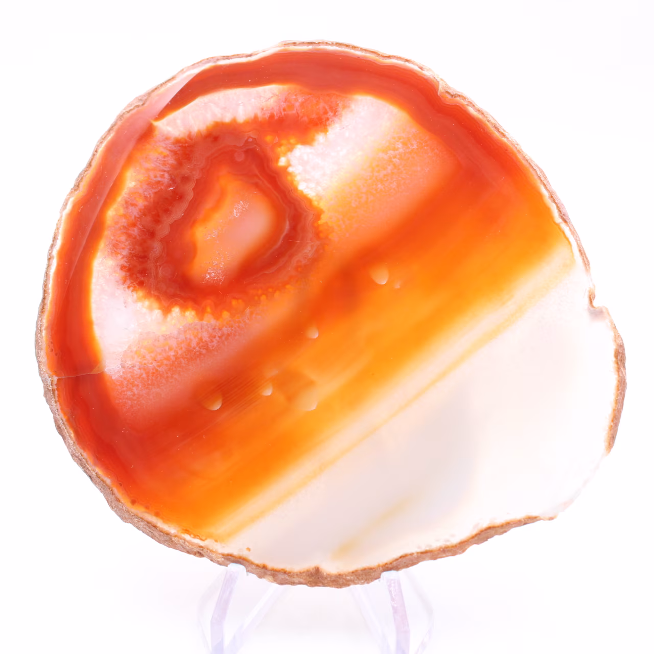 Slice of orange agate