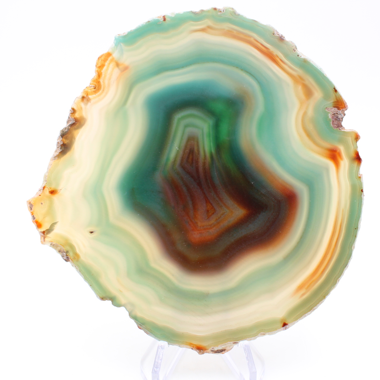 Slice of green agate