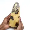 Polished septaria from Madagascar - 0