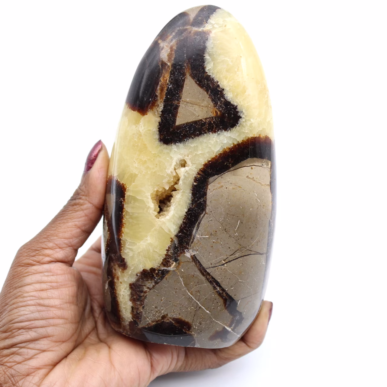 Septaria block