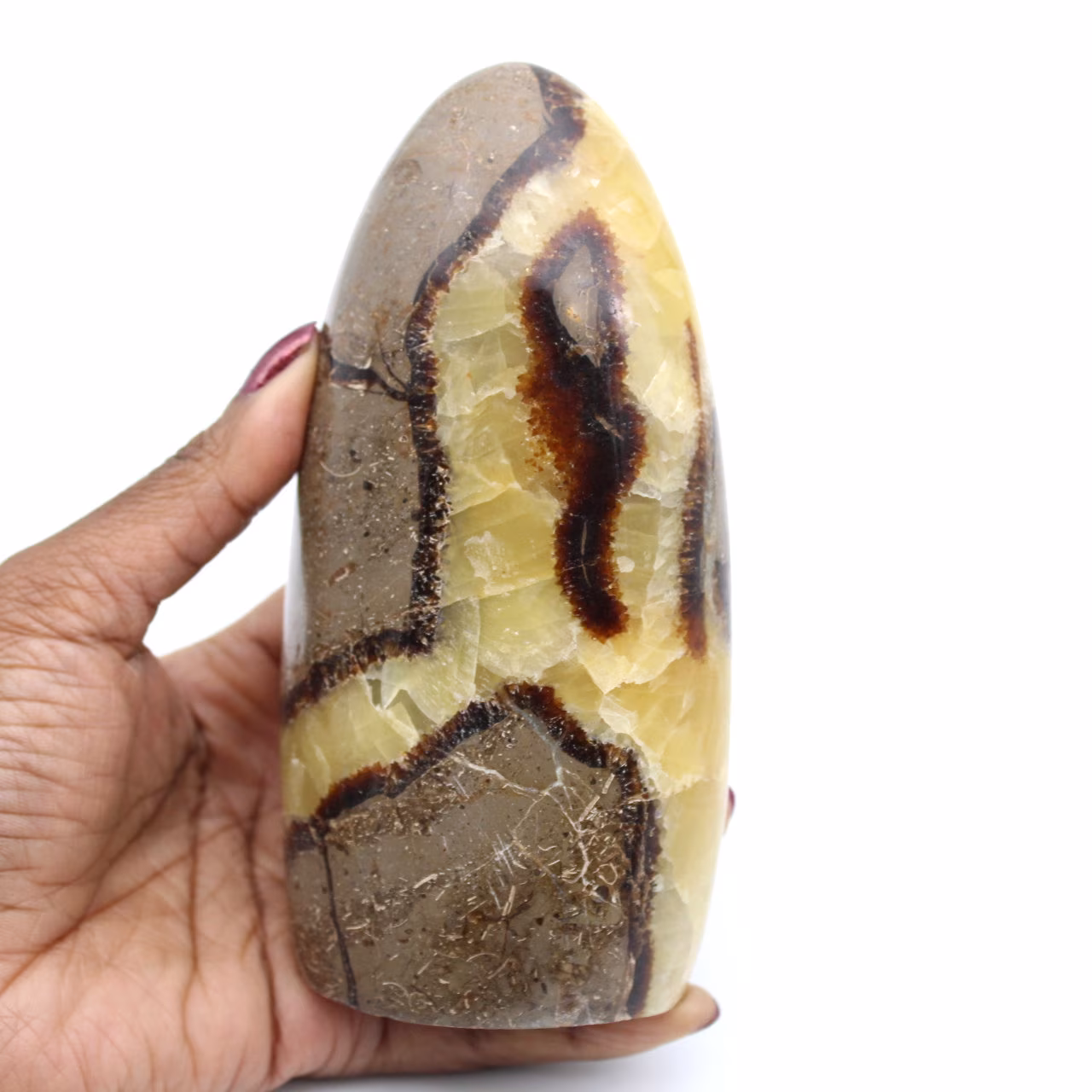 Polished septaria stone