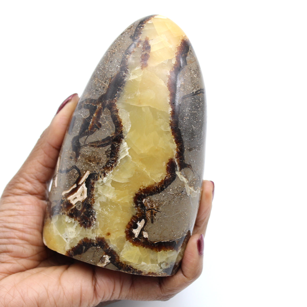 Septaria rock