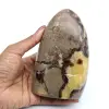 Polished septaria rock - 0