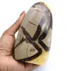 Septaria stone - 0