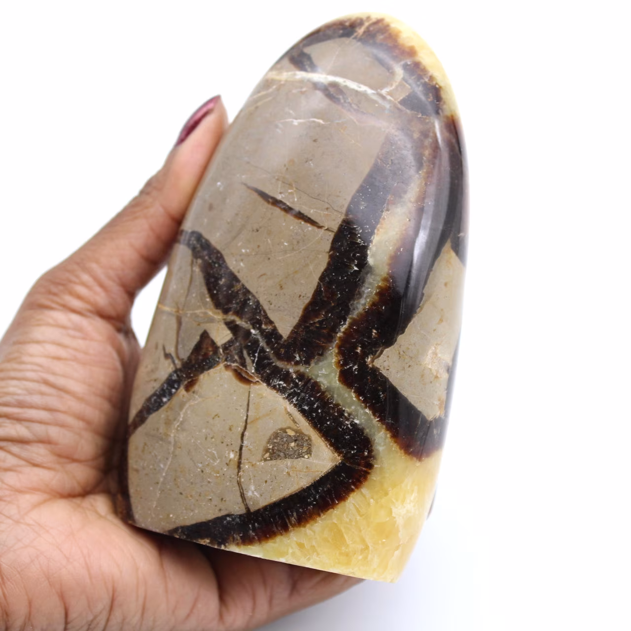 Septaria stone