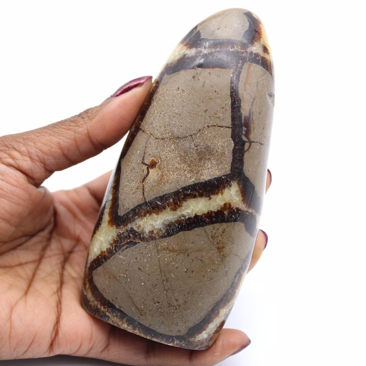 Free form of septaria