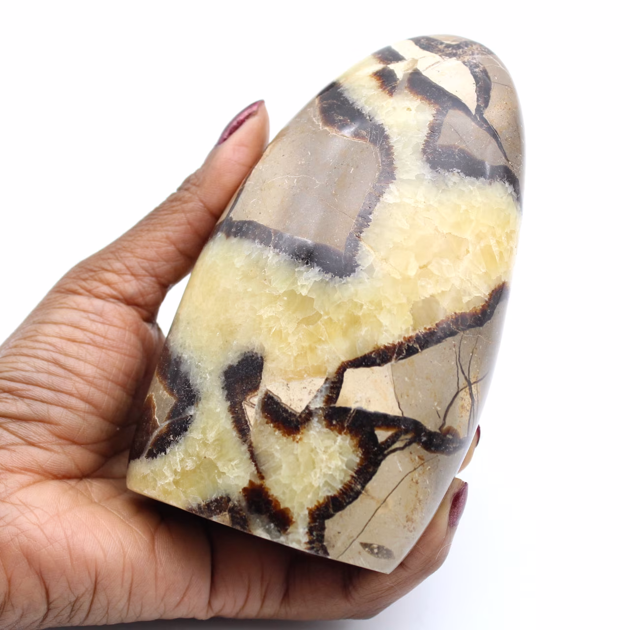 Septaria block