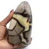 Polished septaria stone - 0