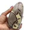 Polished septaria - 0