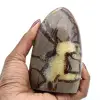 Septaria stone - 0