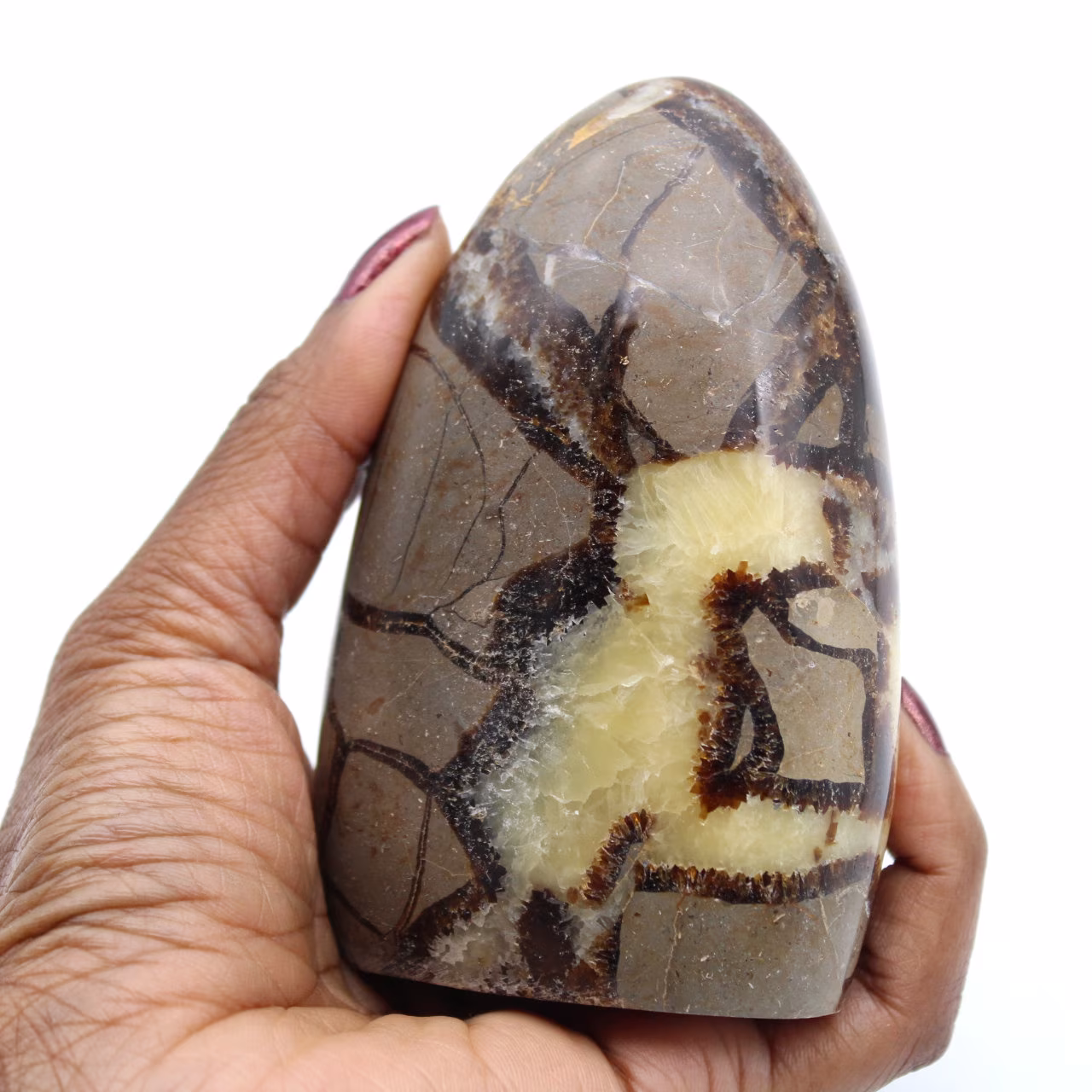 Septaria stone