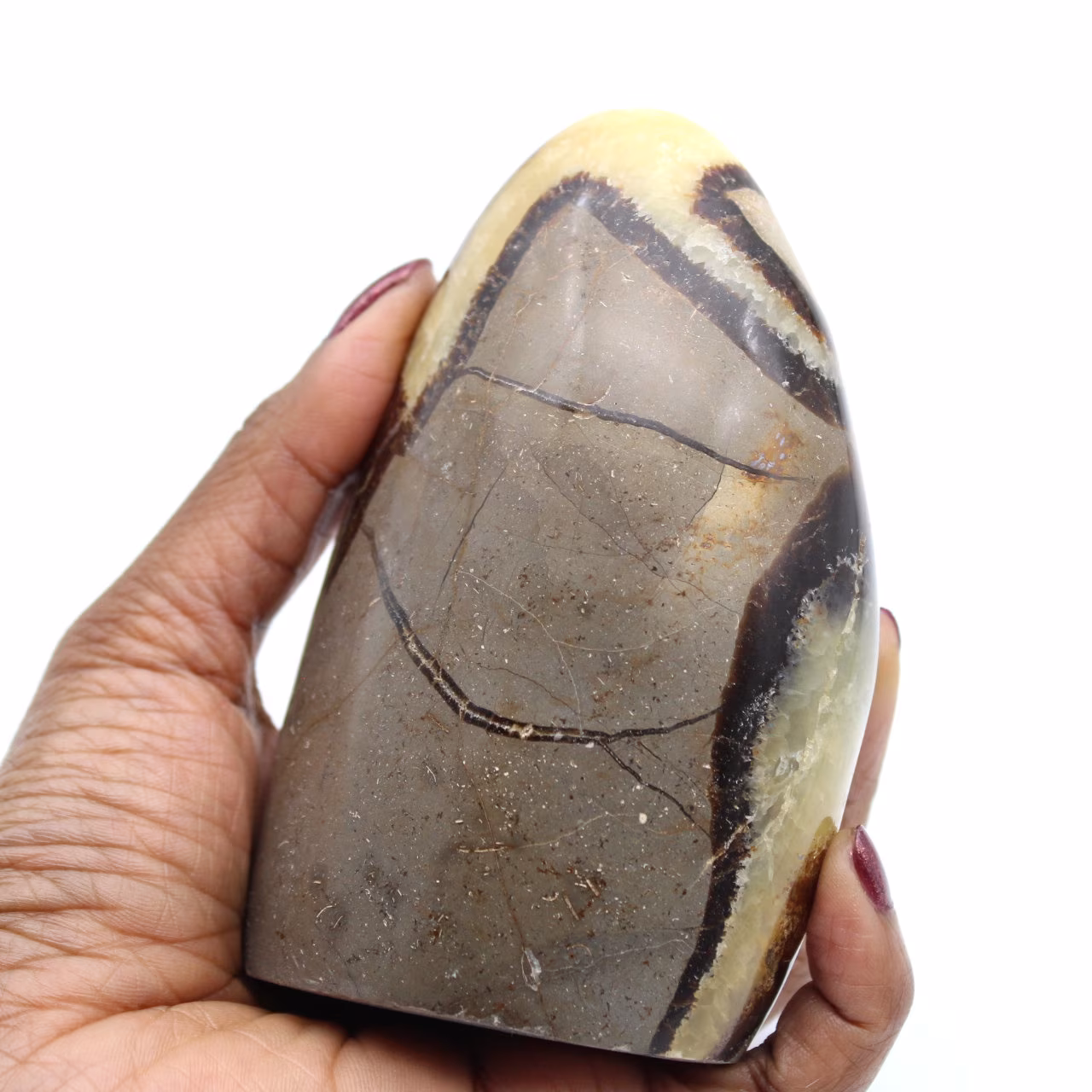 Polished septaria from Madagascar