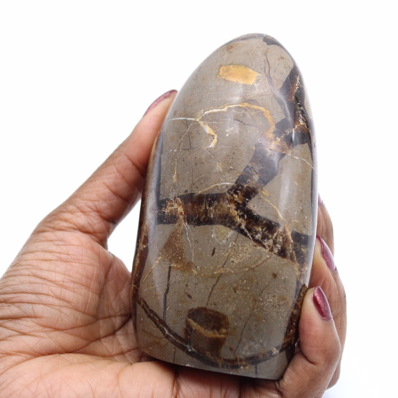 Free form of septaria