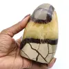 Madagascar septaria - 0
