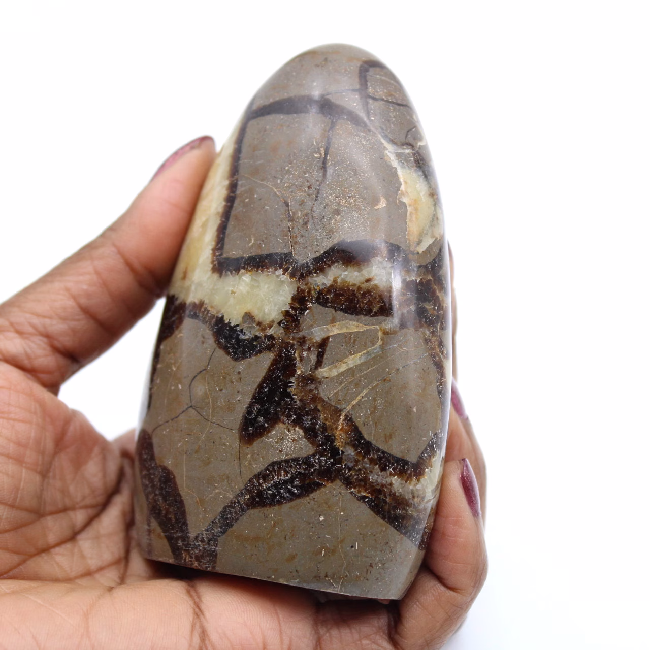 Polished septaria stone