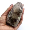Polished septaria from Madagascar - 0
