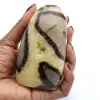 Free form of septaria - 0