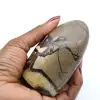 Polished septaria stone - 0