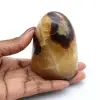 Polished septaria rock - 0