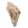 Desert Rose - 0