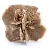 Desert Rose - 0