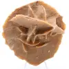 Desert Rose - 0